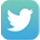 Social Icons