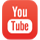 Social Icons